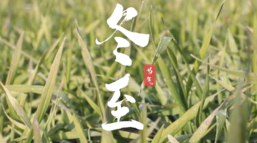 海报丨雾凇映兵团 冬至盼丰年