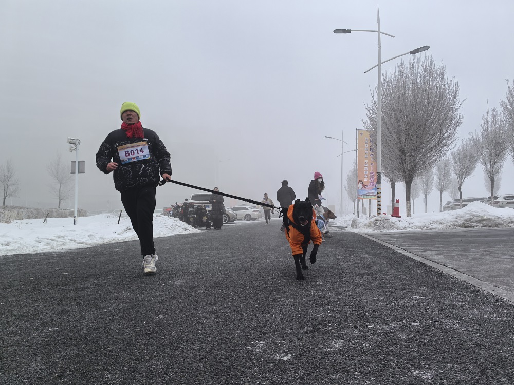 萌宠们跟随主人一起冲刺。胡杨网记者 李雨浪 摄.jpg 萌宠们跟随主人一起冲刺。胡杨网记者 李雨浪 摄.jpg