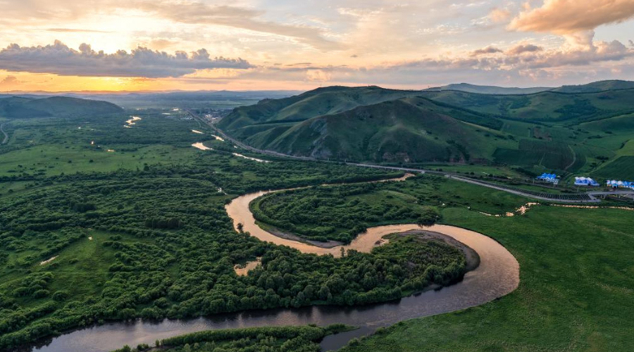 世界湿地日丨用心珍藏，这份来自湿地的生机