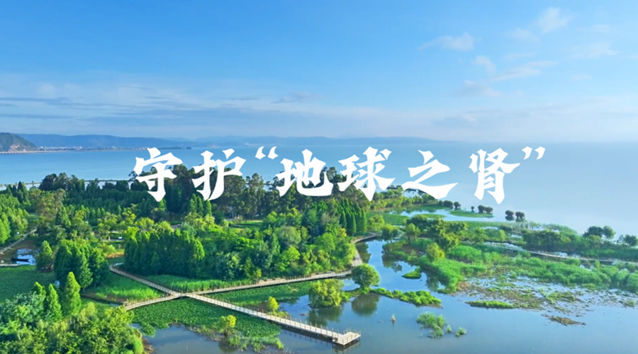 微视频丨守护“地球之肾”