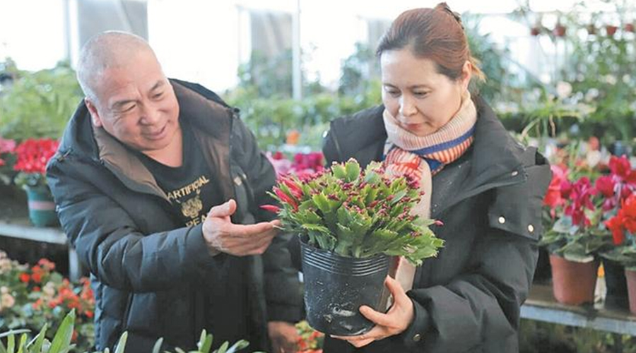 多元场景加速向“新”——看兵团如何推动消费提质升级