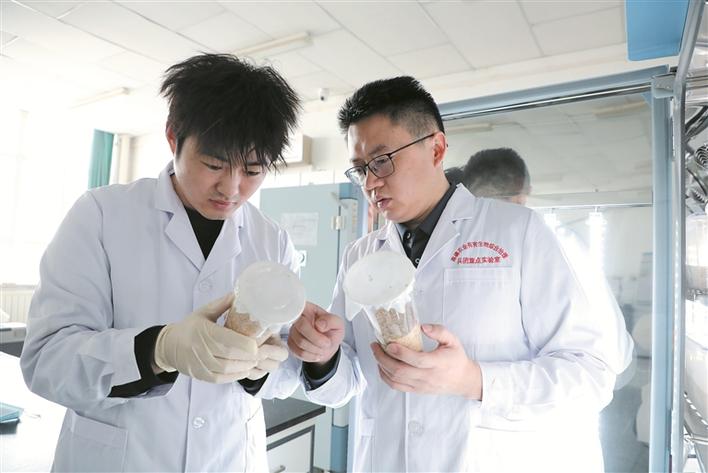 教书育人守初心 潜心科研担使命