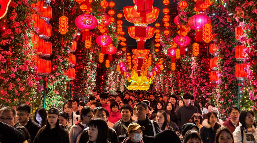 贺新春！“马”不停蹄竞出游