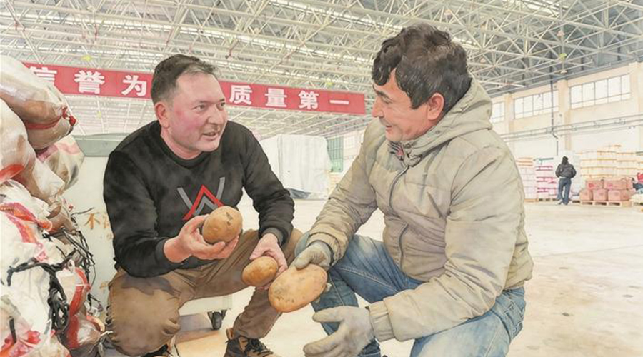 跃马扬鞭开新局丨宏伟蓝图已绘就 奋楫扬帆正当时