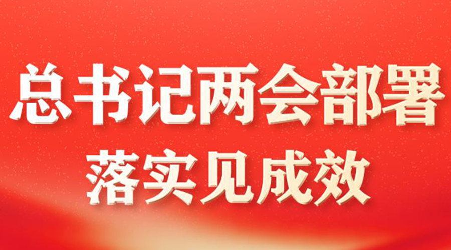 总书记两会部署落实见成效