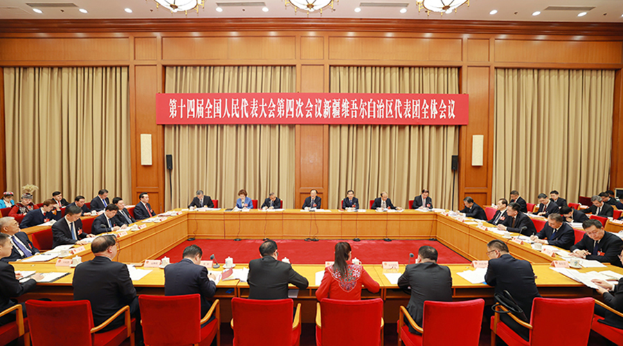 新疆代表团举行全体会议审议政府工作报告