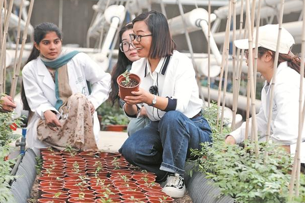 青春之花在基层绽放