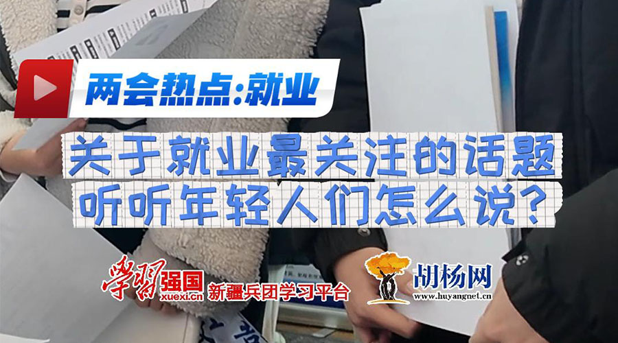 关于就业最关注的话题 听听年轻人们怎么说？