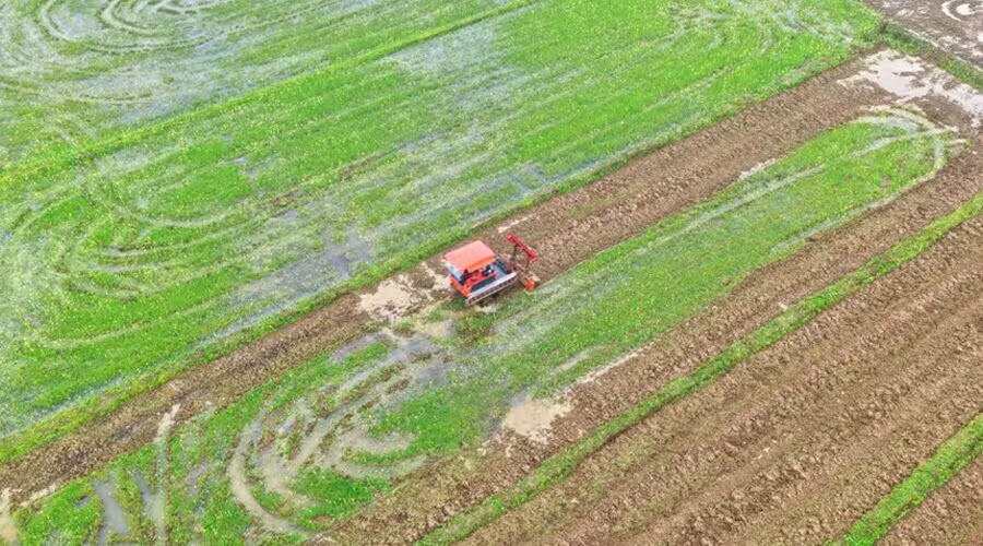 沃野染新绿 春耕绘丰景——从春耕一线看“十五五”开局农业生产新气象