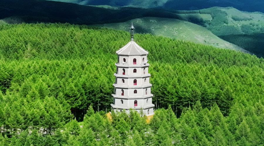 国际森林日丨绿色宝藏