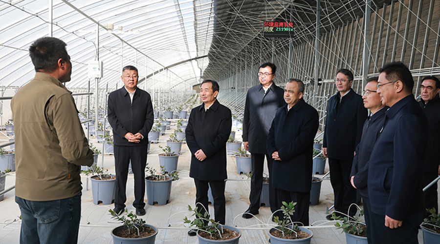 陈小江艾尔肯·吐尼亚孜在和田调研