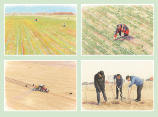 海报丨关于兵团的“春”