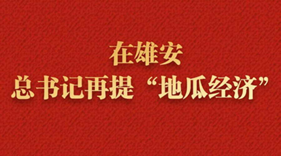 近镜头丨在雄安，总书记再提“地瓜经济”