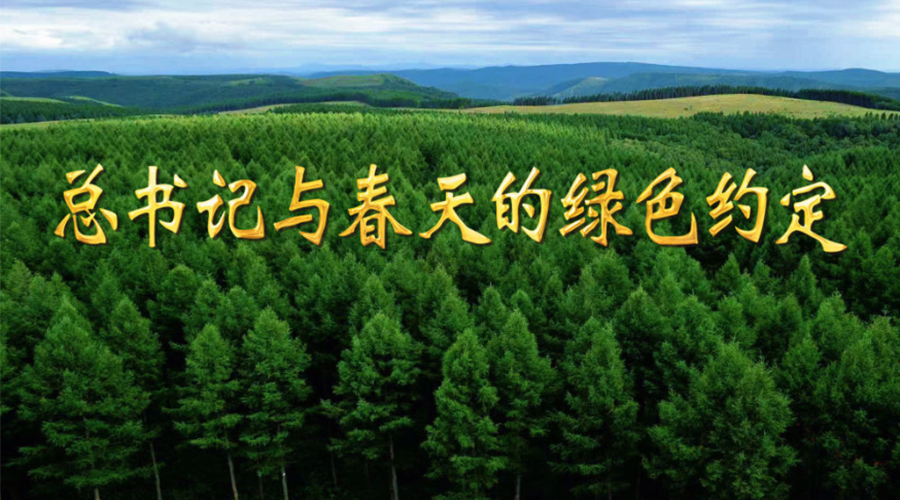 微视频丨总书记与春天的绿色约定