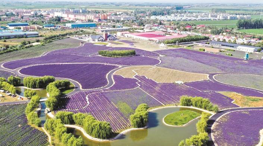 四师可克达拉市荣膺国家生态文明建设示范区——擦亮伊犁河谷生态底色