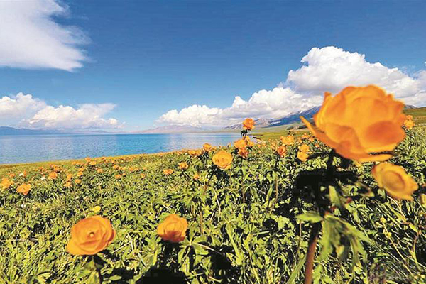 守护花海 不负春光