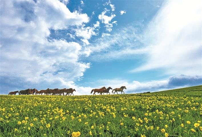 春染天山 香溢兵团
