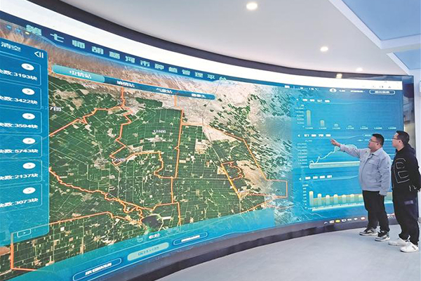 施良技，提升质效