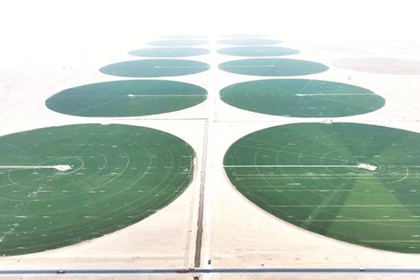 万象“耕”新不负春——兵团春耕春播一线扫描