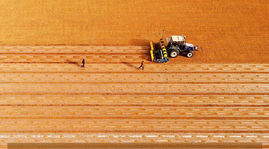 这张春耕图，兵团人画了70多年……