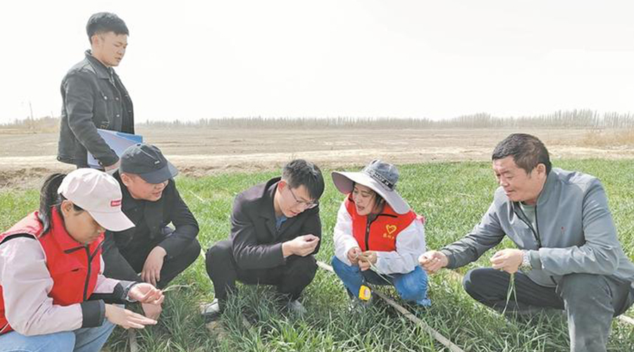 春耕一线的“科技保姆”