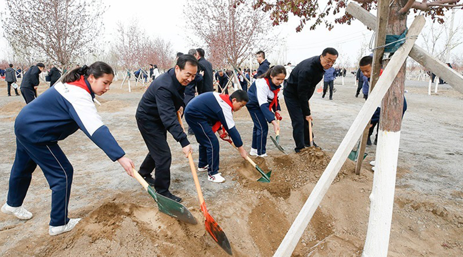 自治区领导在乌鲁木齐参加义务植树活动