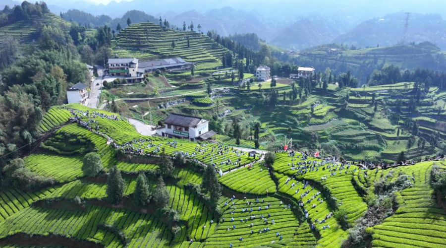 世界地球日丨“典”护生态，我们如何与法同行？