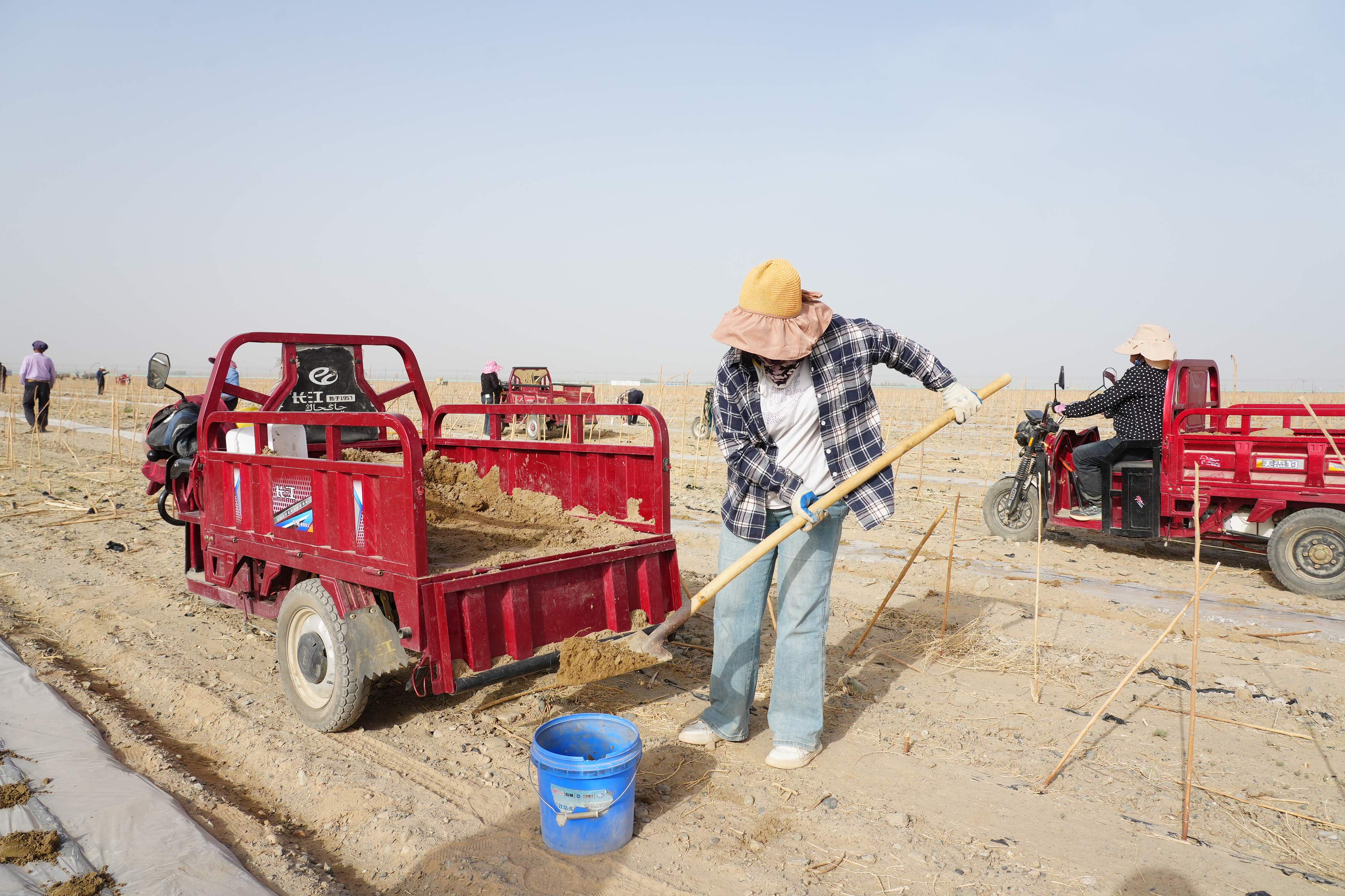 十四师二二五团塔克拉玛干沙漠四万亩锁边配套工程项目现。严莉 摄 (1).jpg