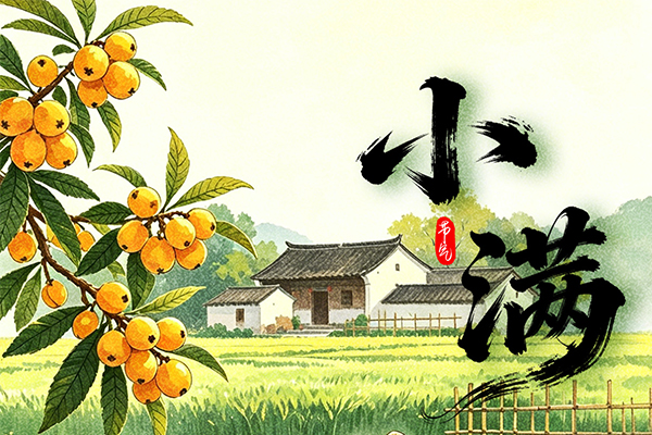 海报丨麦风盈野小满天