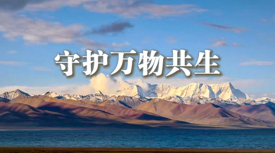 微视频丨守护万物共生