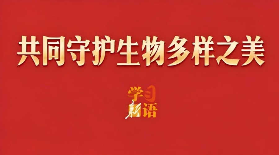 共同守护生物多样之美