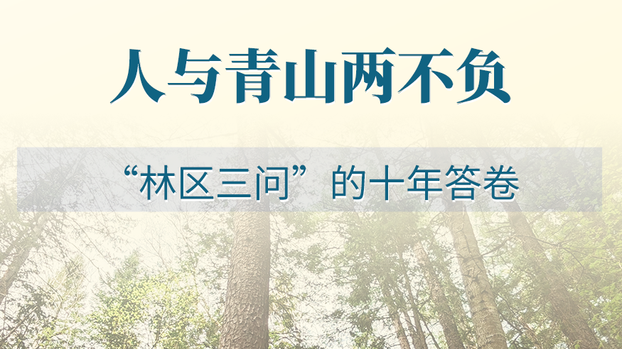 人与青山两不负——“林区三问”的十年答卷