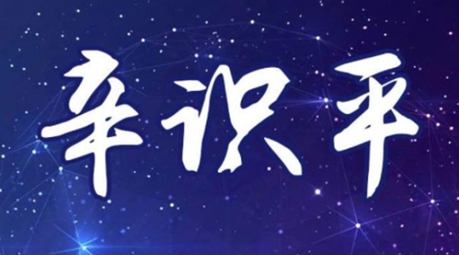 辛识平：全方位补齐短板 守牢安全生命线