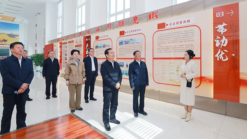 陈小江在哈密市伊吾县调研