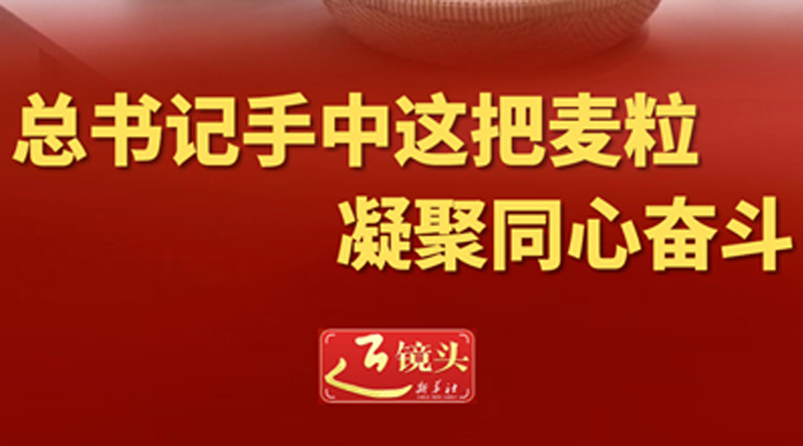 近镜头丨总书记手中这把麦粒凝聚同心奋斗