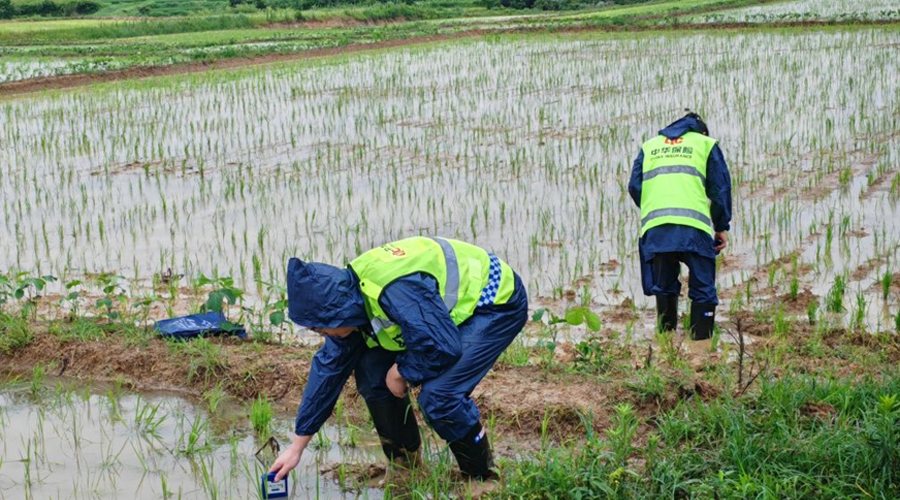 习近平总书记关切事丨“空天地”助力耕地保数量提质量