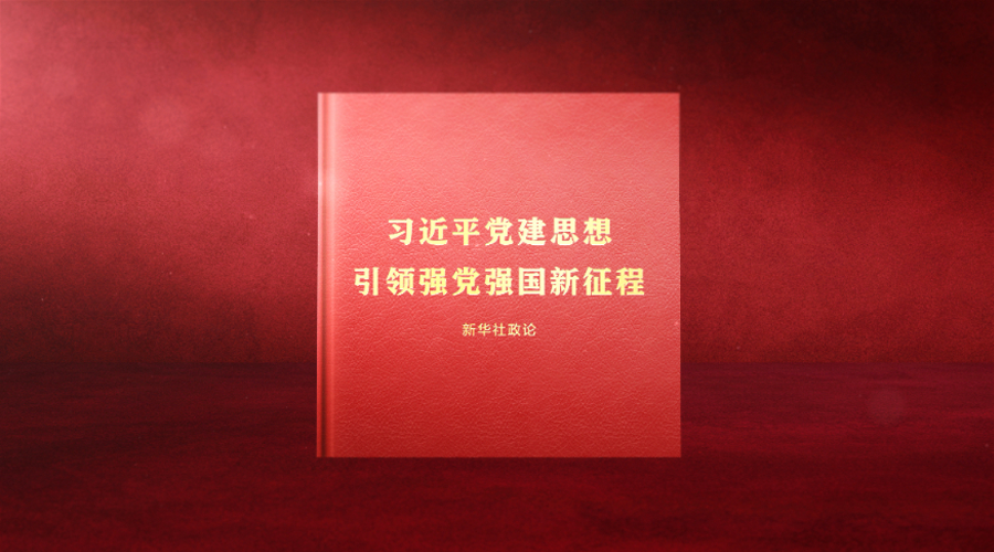 读懂中国共产党为什么能的关键密码（第四期）