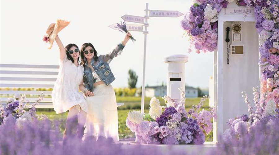 夏日绿洲 清凉之约——兵团生态之旅绘就“诗与远方”