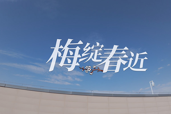 优秀党员教育电视片展播丨《梅绽春近》