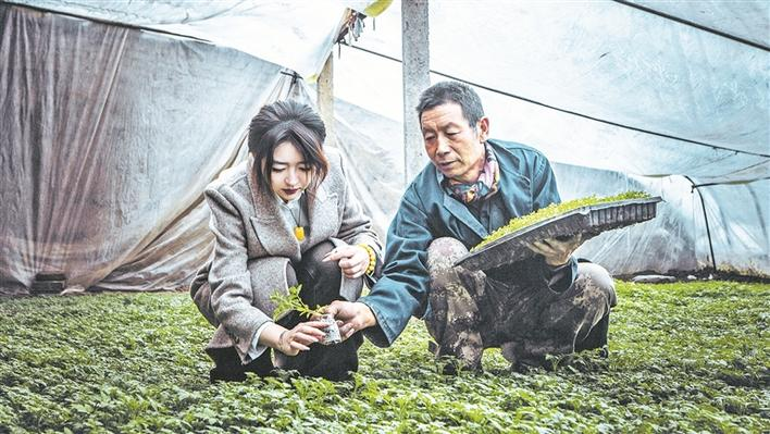 八师一四三团九连党支部副书记、连管会连长李冬蕾（左）到连队职工蔬菜育苗大棚了解育苗情况（资料图片）。张伟 摄