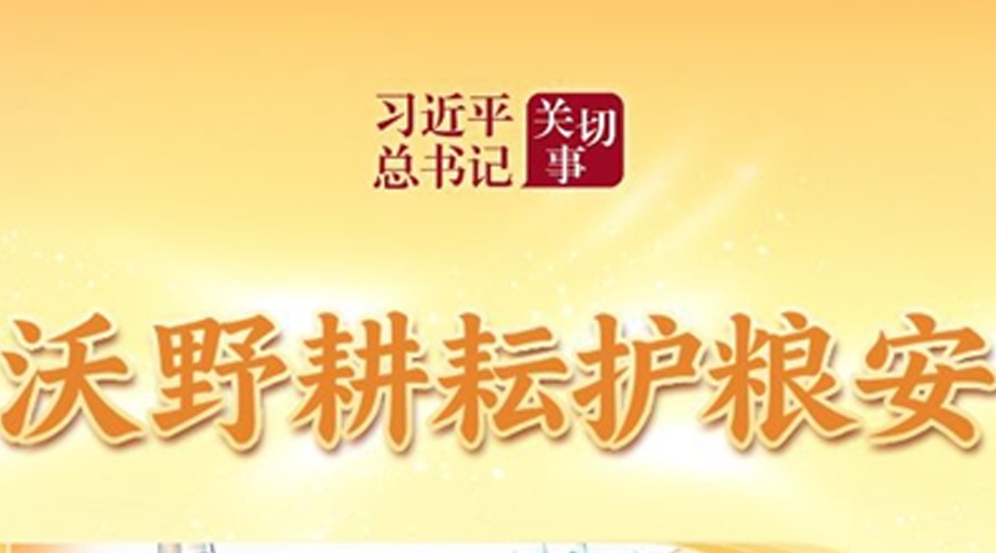 习近平总书记关切事丨沃野耕耘护粮安