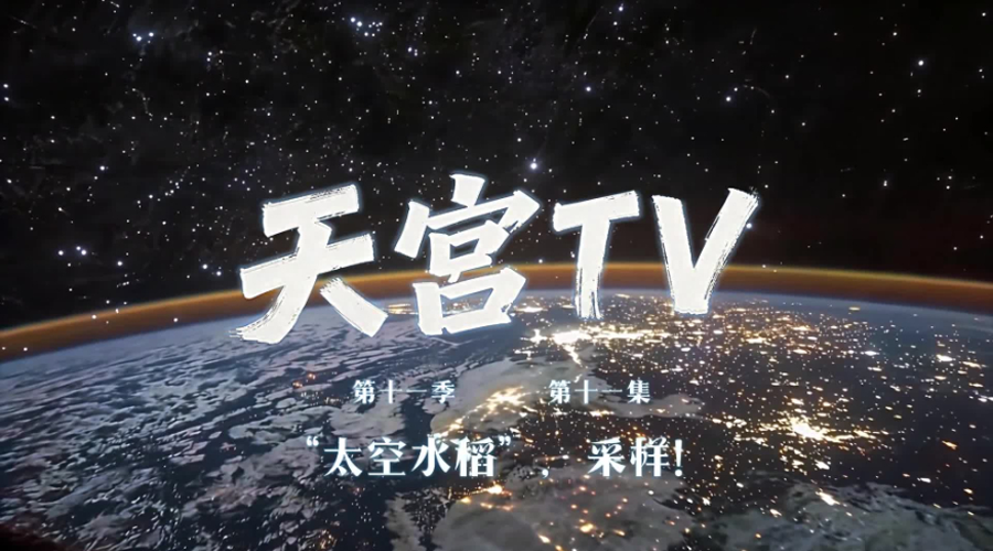 天宫TV丨“太空水稻”，采样！