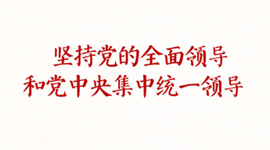 学习新语丨坚持党的全面领导和党中央集中统一领导