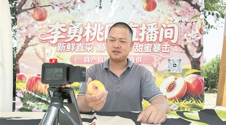 戈壁滩上“长”出甜蜜产业—— 十二师一〇四团万亩桃园多元增收纪实