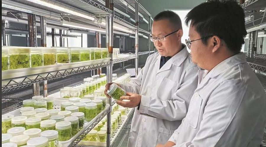 跨越山海的援疆答卷——山西省对口支援六师五家渠市走笔