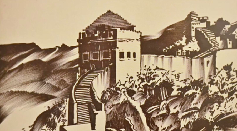 时政镜距离丨描绘中埃相知新画卷
