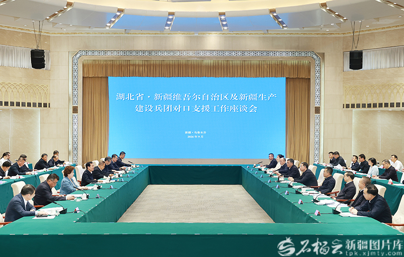 湖北省党政代表团来疆考察对接对口支援与合作发展工作