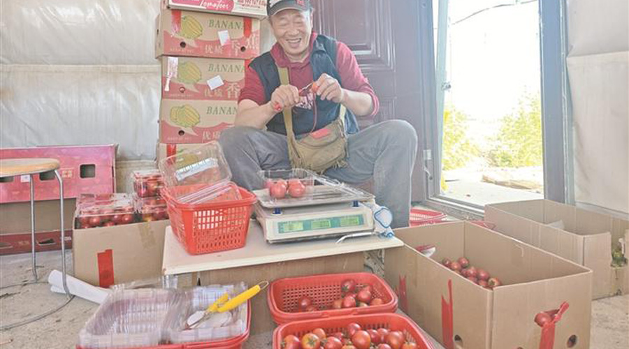 十二师“致富果”铺就乡村振兴“甜蜜路”