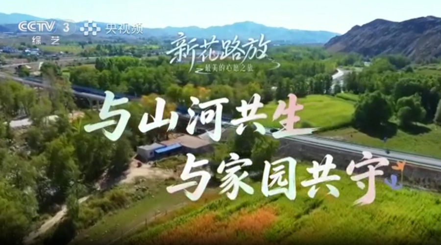 《新花路放》走进十师 体悟戍边情怀 致敬戍边卫士