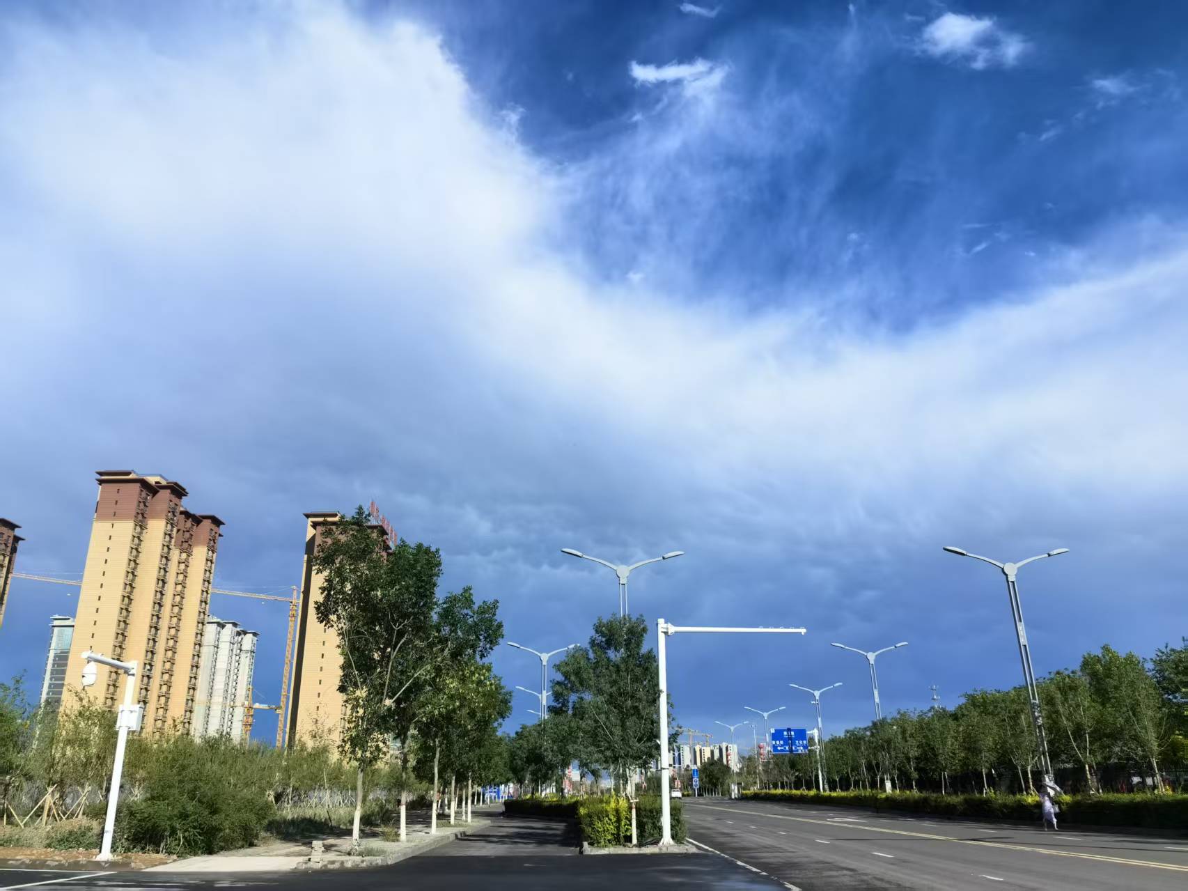 五一农场的夏日风貌。胡杨网记者 李雨浪 摄.jpg